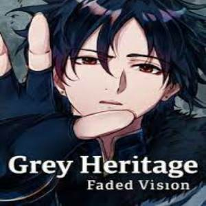 Grey Heritage Faded Vision Pc