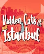 Hidden Cats in Istanbul Xbox Series X