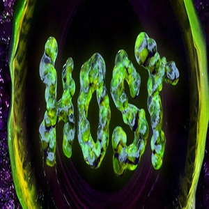 HOST Pc