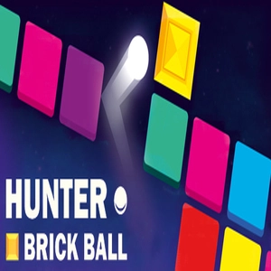 HUNTER BRICK BALL Pc