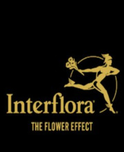 Interflora Pc