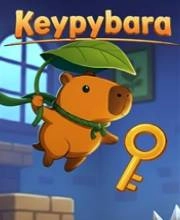 Keypybara Xbox Series X