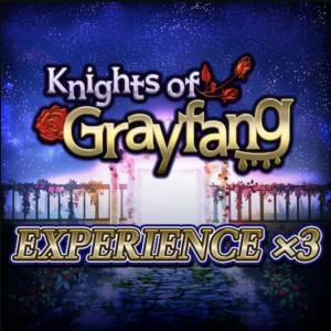 Knights of Grayfang Experience x3 Xbox Series X