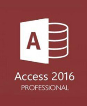 Microsoft Access 2016 Professional Pc