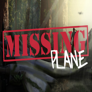 Missing Plane Survival Key kaufen Preisvergleich