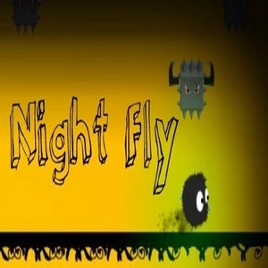 Night Fly Pc
