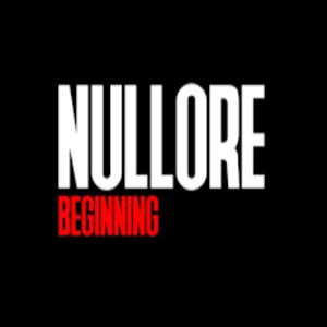 NULLORE beginning Key kaufen Preisvergleich