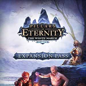 Pillars of Eternity The White March Expansion Pass Key Kaufen Preisvergleich