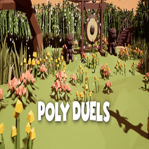 Poly Duels Key kaufen Preisvergleich