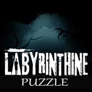 Puzzle For Labyrinthine Pc