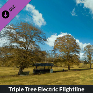 RealFlight Evolution Triple Tree Electric Flightline Pc
