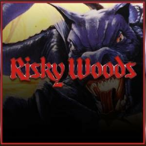Risky Woods QUByte Classics Playstation 4