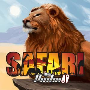 Safari Pinball Key Kaufen Preisvergleich