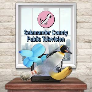 Kaufe Salamander County Public Television Xbox One Preisvergleich