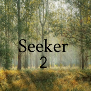 Seeker 2 Pc