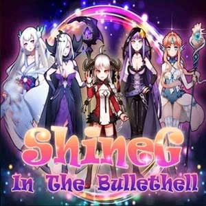 ShineG In The Bullethell Pc