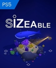 Sizeable Playstation 5