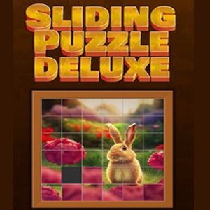 Sliding Puzzle Deluxe Pc
