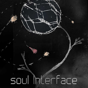 soul Interface Pc