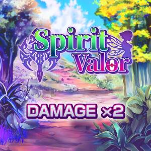 Spirit Valor Damage x2 Pc