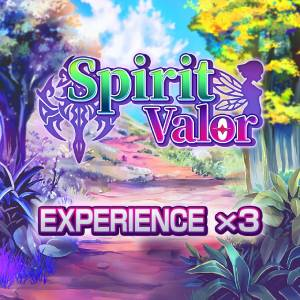 Spirit Valor Experience x3 Playstation 5