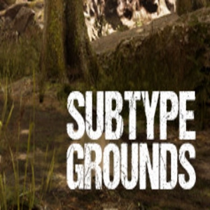Subtype Grounds