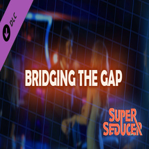 Super Seducer Bonus Video 4 Bridging the Gap