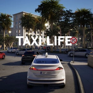 Taxi Life Pc