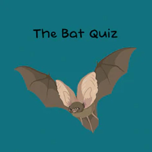 The Bat Quiz Playstation 5