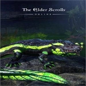 The Elder Scrolls Online Newcomer Pack Xbox Series X