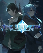 Kaufe The Sekimeiya Spun Glass Nintendo Switch Preisvergleich