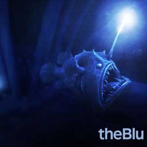 theblu Key Kaufen Preisvergleich