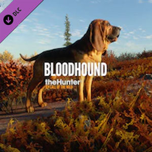 Kaufe theHunter Call of the Wild Bloodhound PS4 Preisvergleich