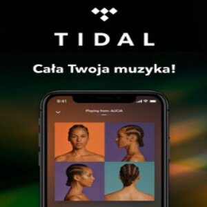 Kaufen TIDAL Gift Card Preisvergleich