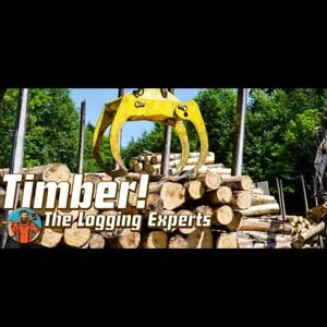 Timber The Logging Experts