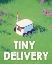 Tiny Delivery Pc