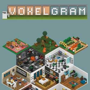 Voxelgram Switch