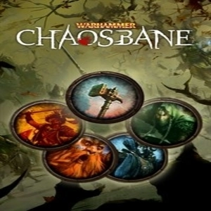 Warhammer Chaosbane Emotes and Blessing