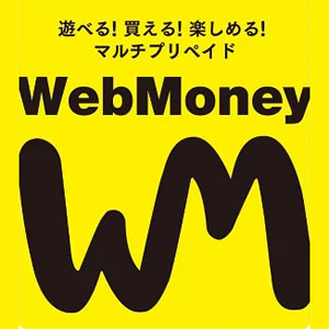 Webmoney Geschenkkarte | Preisvergleich