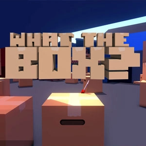 What the Box Xbox Series X