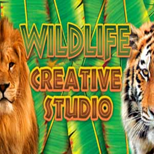 Wildlife Creative Studio Key Kaufen Preisvergleich