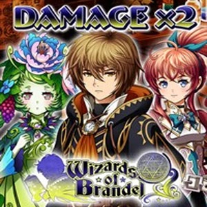 Wizards of Brandel Damage x2 Playstation 4