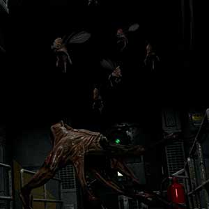 Fliegende Geschöpfe