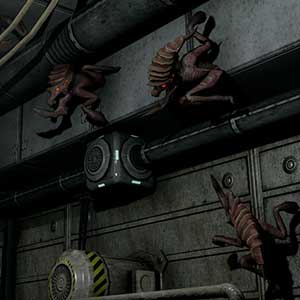 Geschöpfe an der Wand