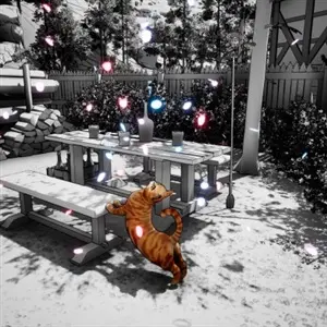 Cat Me If You Can - Orangene Katze