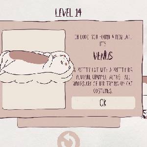 Cats Organized Neatly - Venus