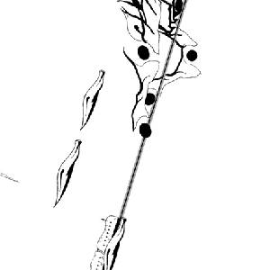 Chasing Light - Innere Welt