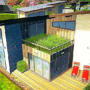 Landschaftsbau Details