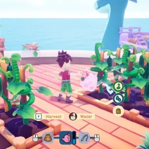 Collector's Cove - Wasser