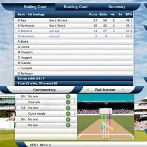 Cricket Captain 2014 - Statistiken